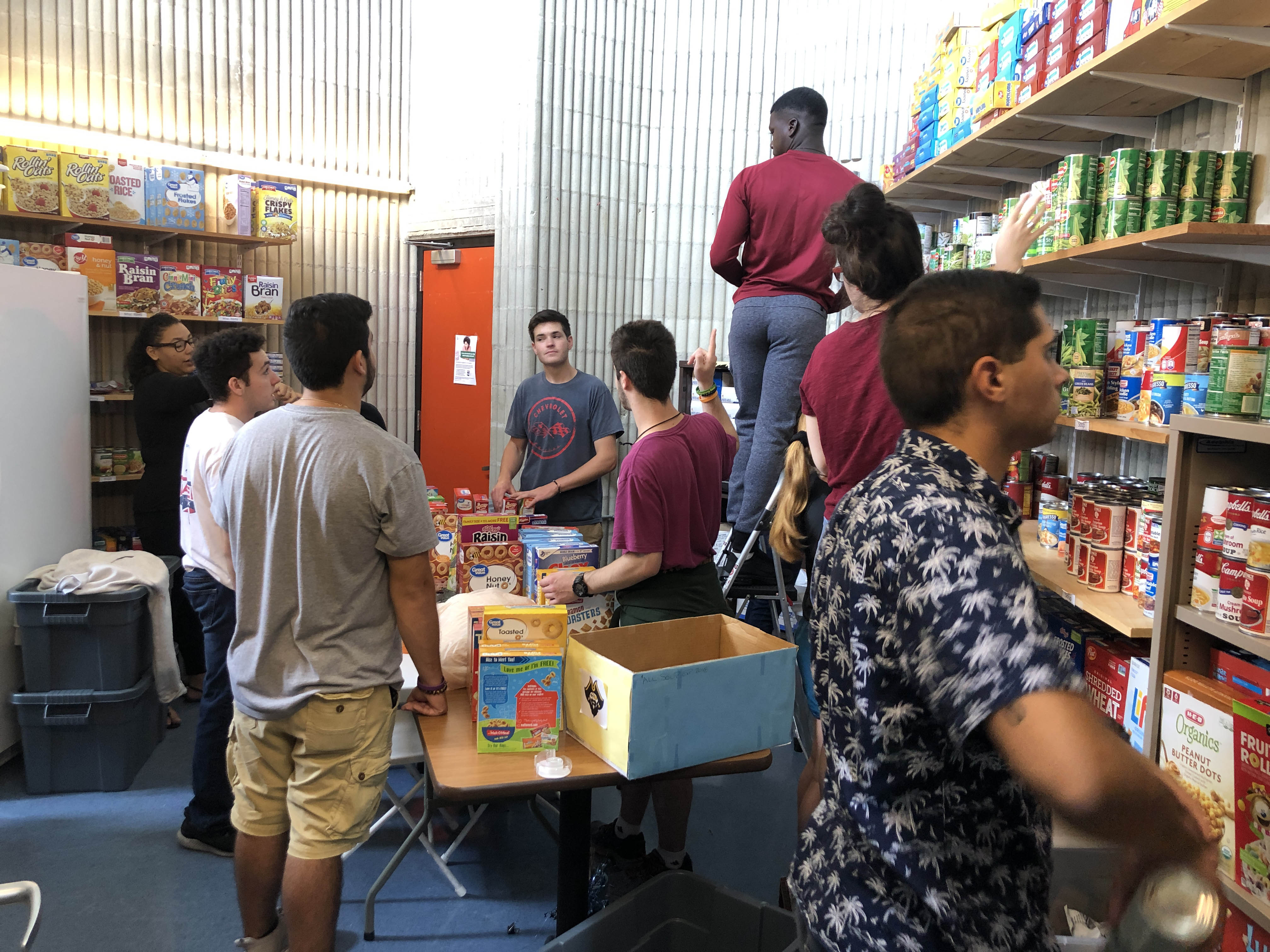 volunteer 3980607.jpeg